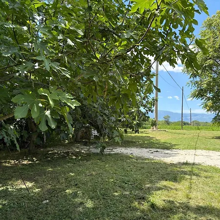 A Rosciano (Abruzzo)