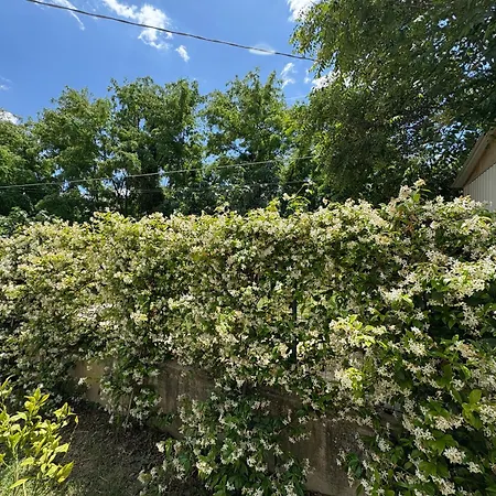 A * Rosciano (Abruzzo)