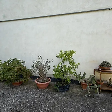 Tatil Evi A