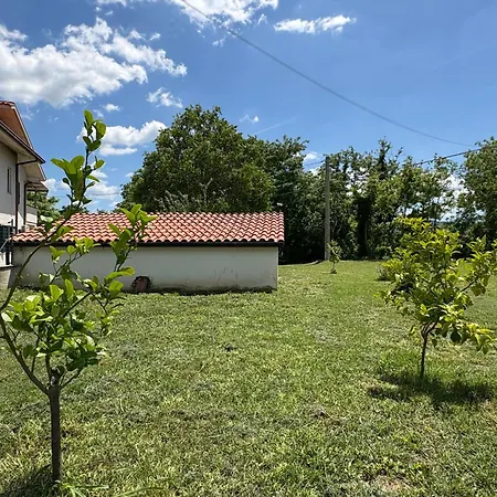 A Tatil Evi