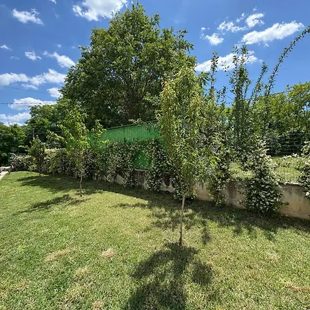 Tatil Evi A
