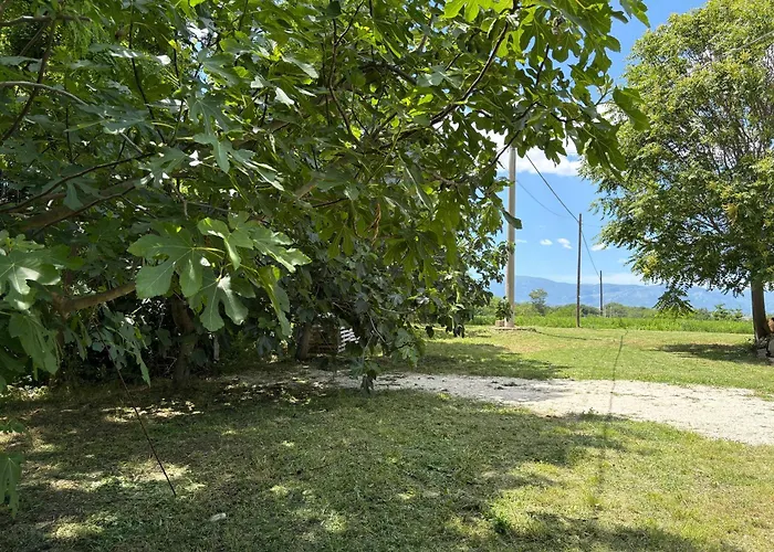 A Rosciano (Abruzzo)